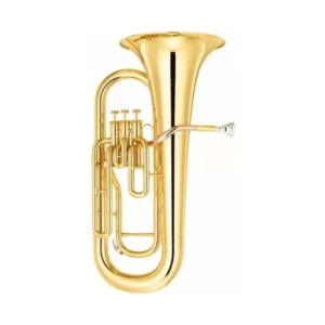 Bajo de Viento Filadelfia